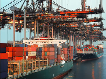 出入境檢驗(yàn)檢疫